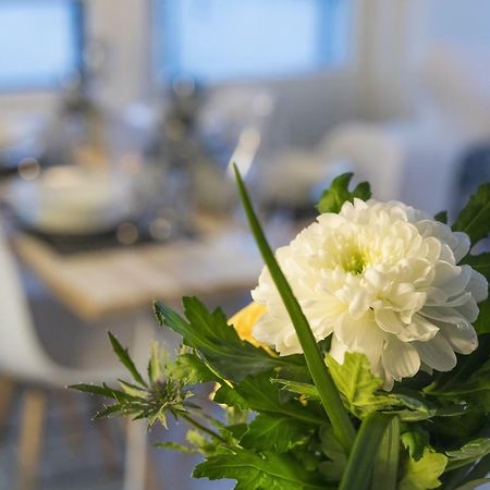Vasko Luxurious Suites, Livo روفانييمي المظهر الخارجي الصورة